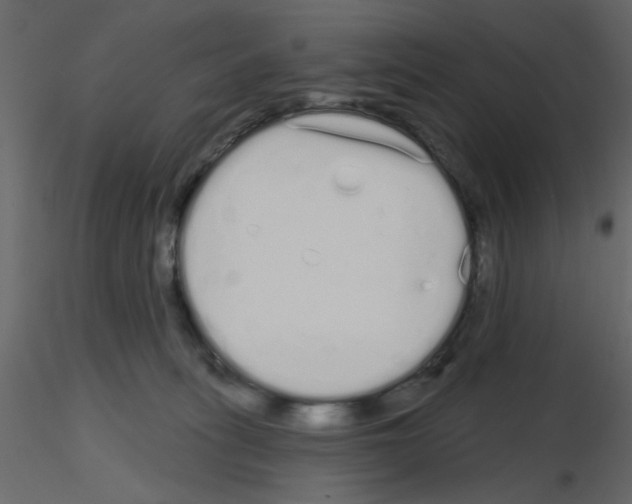 X0000115710275200912241550