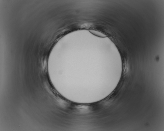 X0000115710276200912241550