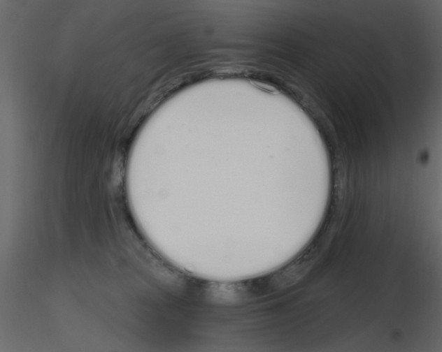 X0000115710277200912241550