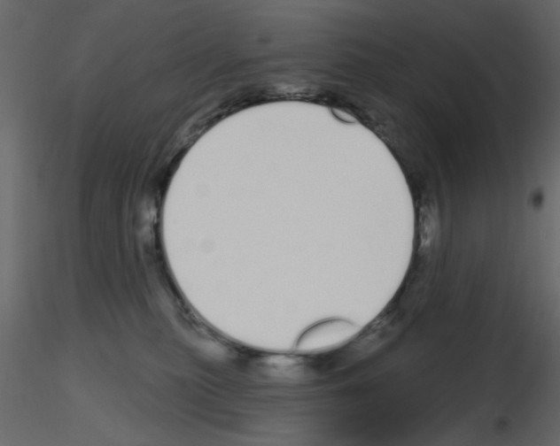 X0000115710279200912241550