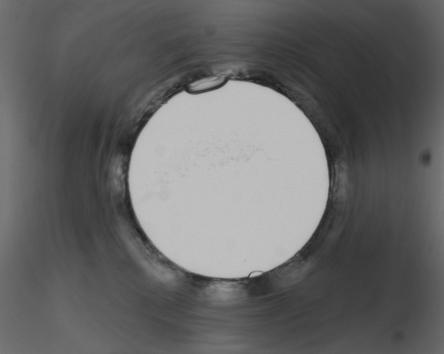 X0000115710280200912241550