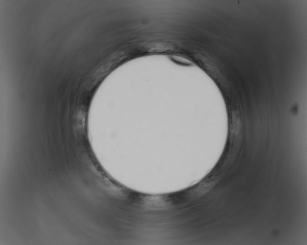 X0000115710281200912241550