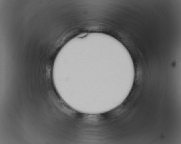 X0000115710282200912241550