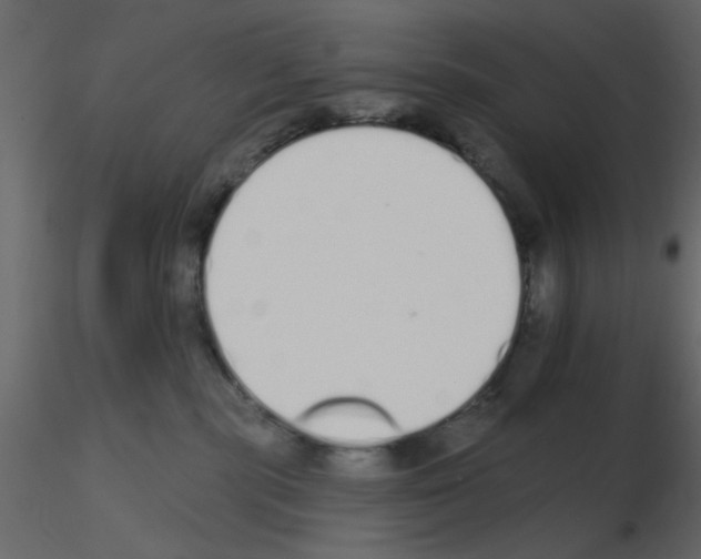 X0000115710283200912241550