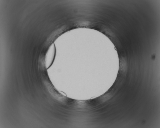 X0000115710287200912241550