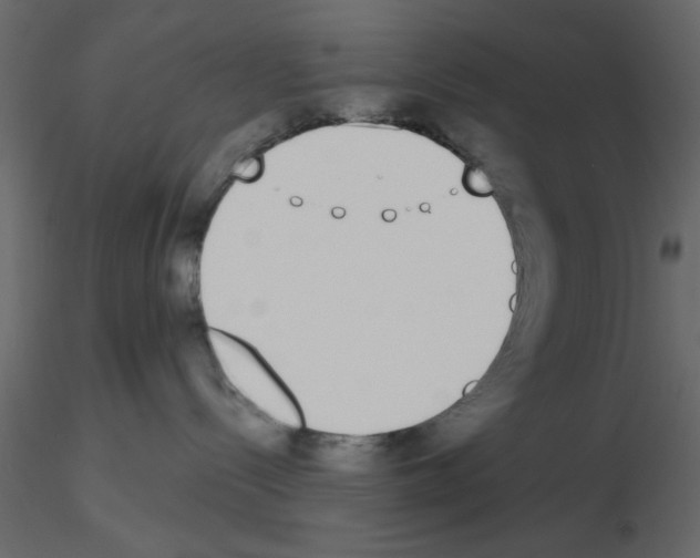 X0000115710288200912241550