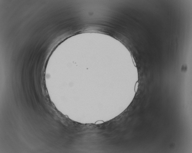 X0000115710289200912241549