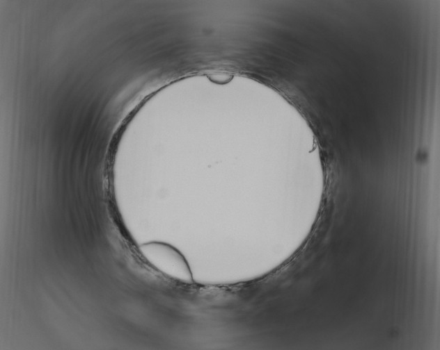 X0000115710290200912241549