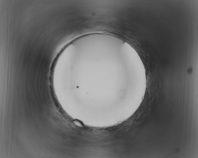 X0000115710292200912241549