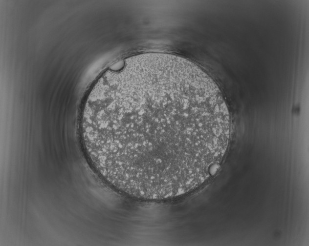 X0000115710293200912241549