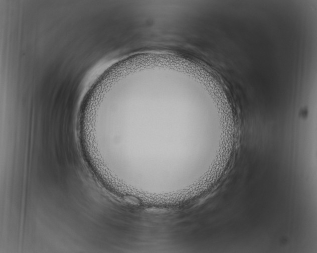 X0000115710294200912241549