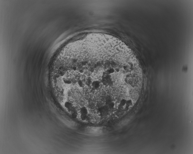 X0000115710295200912241549