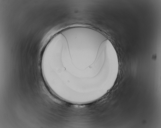 X0000115710296200912241549