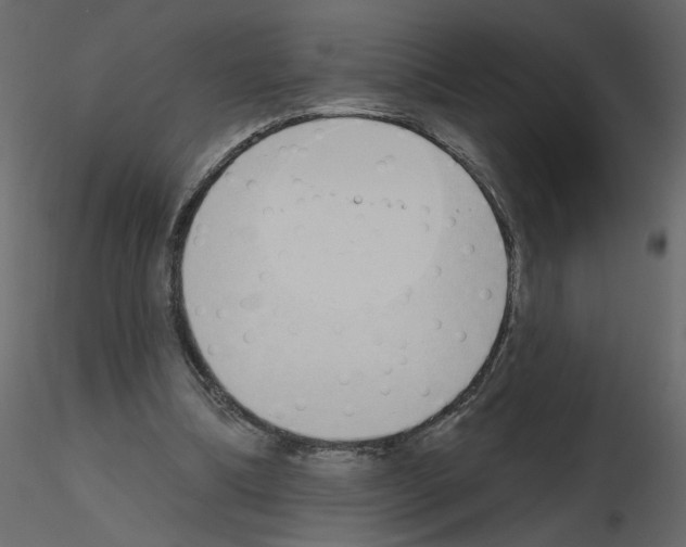 X0000115710298200912241549