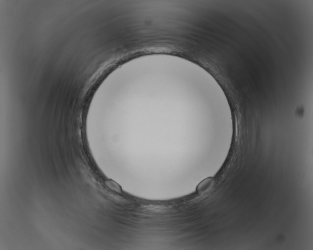 X0000115710300200912241549