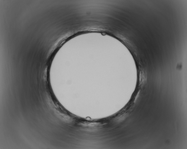 X0000115710304200912241549