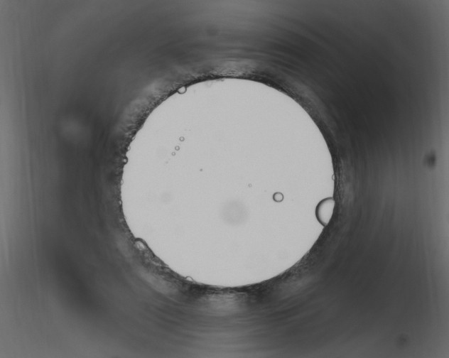 X0000115710307200912241549