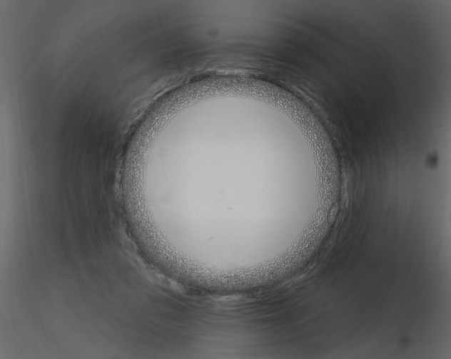 X0000115710309200912241549