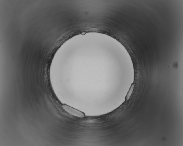 X0000115710312200912241549