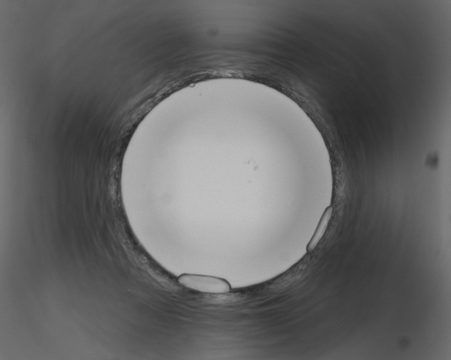 X0000115710313200912241549