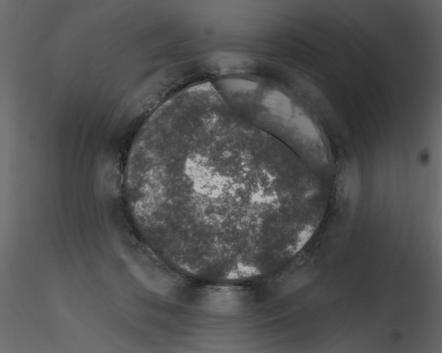 X0000115710316200912241549