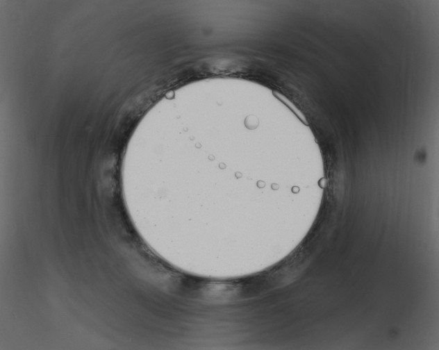 X0000115710319200912241549