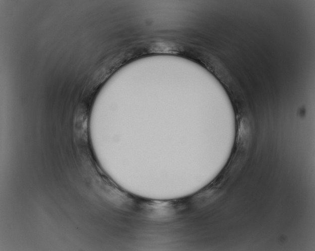 X0000115710322200912241549