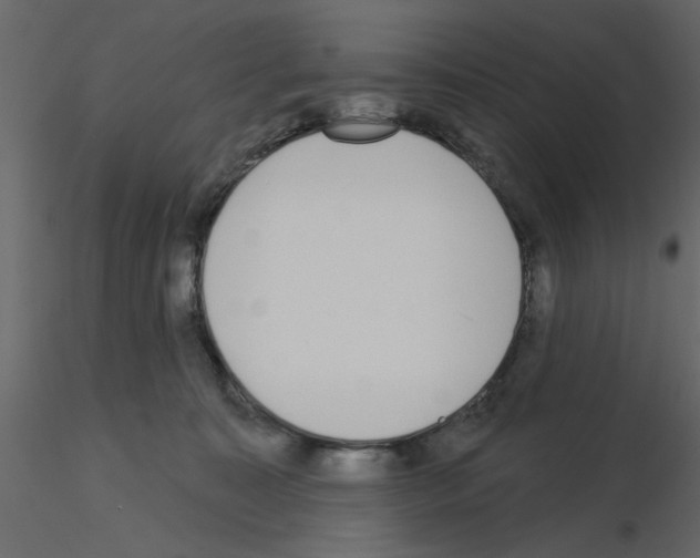 X0000115710323200912241549