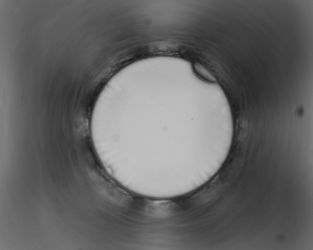 X0000115710324200912241549