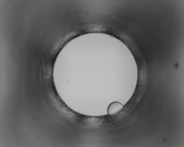 X0000115710326200912241549