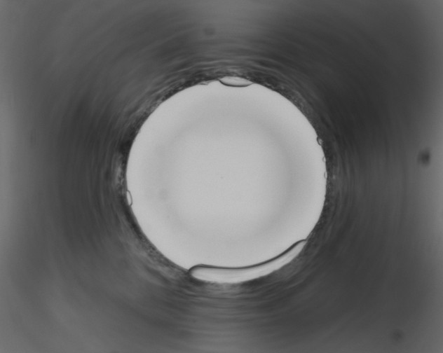 X0000115710328200912241549