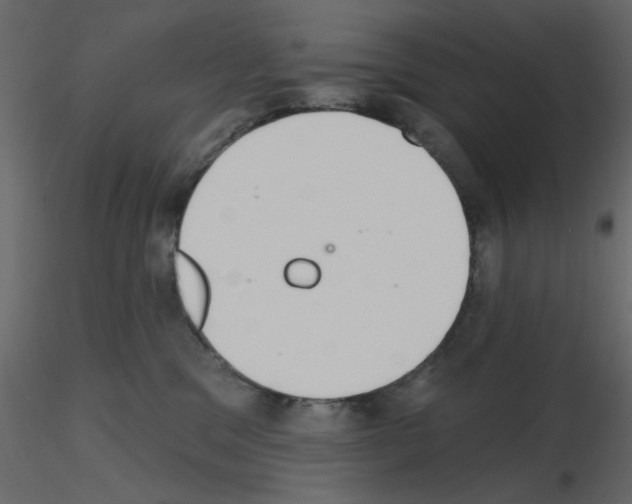 X0000115710329200912241549