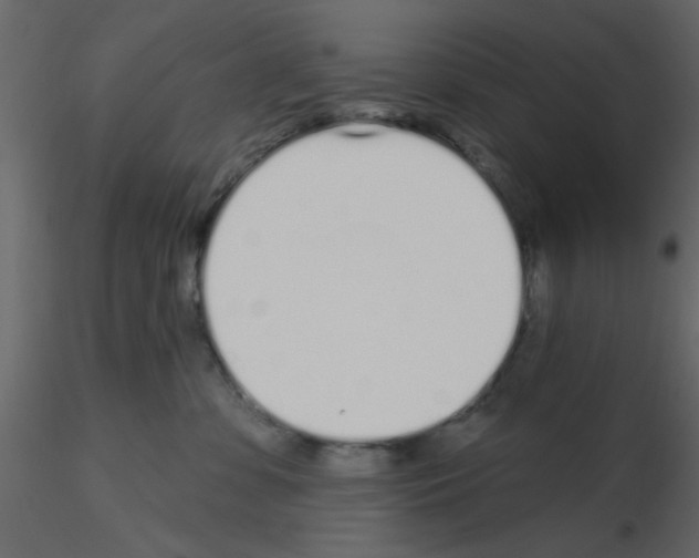 X0000115710331200912241549