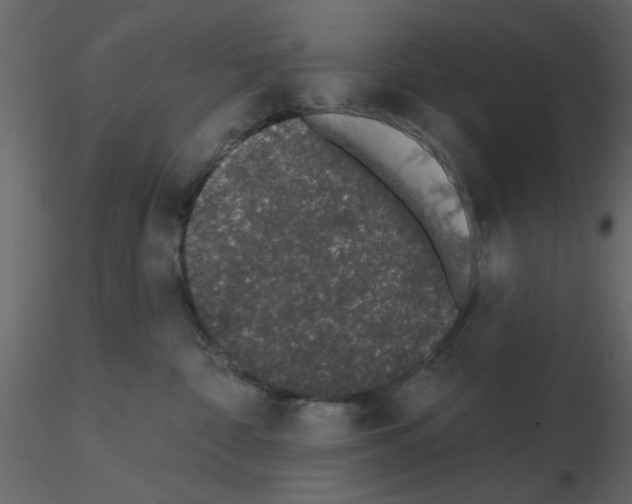 X0000115710332200912241549