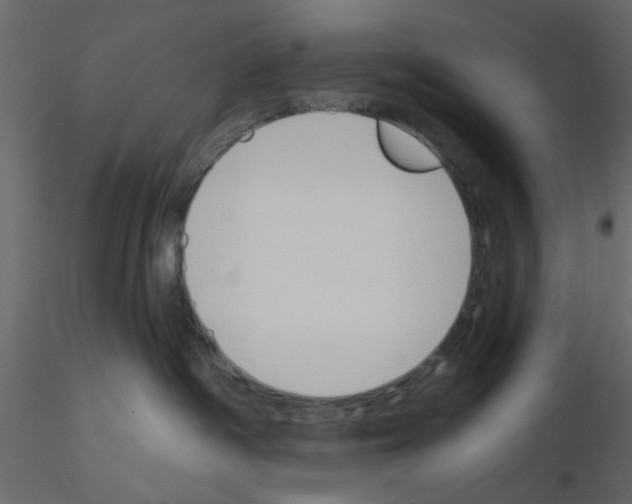 X0000115710334200912241549