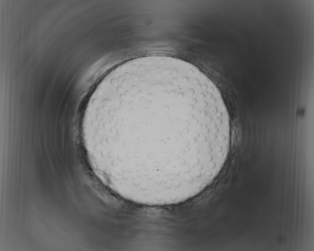 X0000115710339200912241548