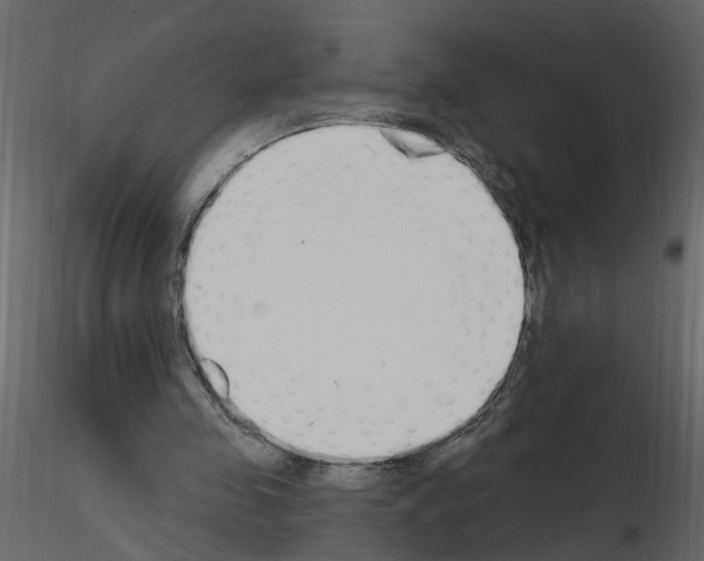 X0000115710341200912241548