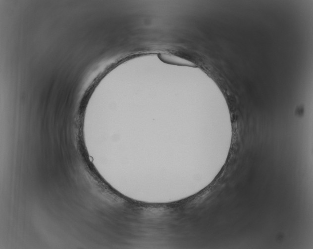 X0000115710342200912241548