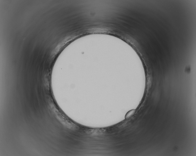 X0000115710345200912241548