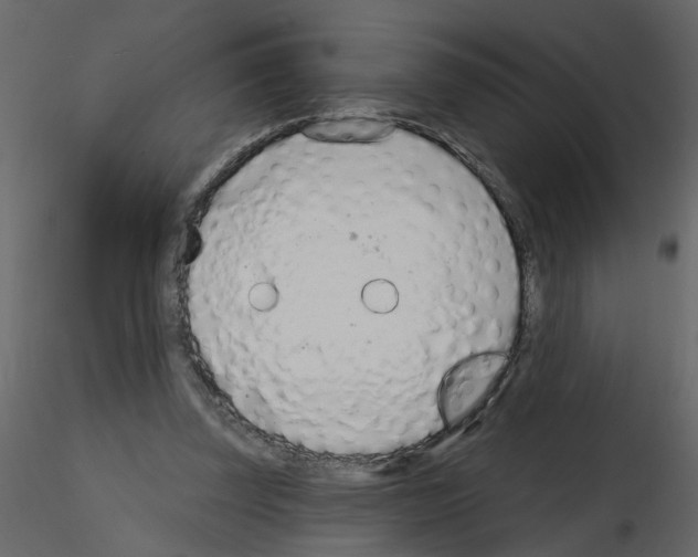 X0000115710347200912241548