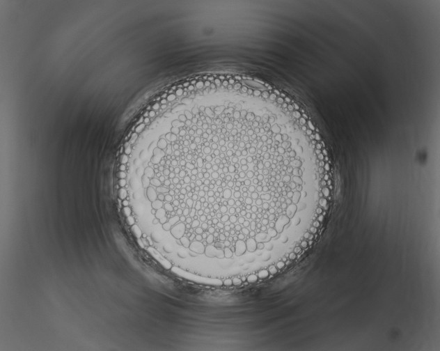 X0000115710349200912241548