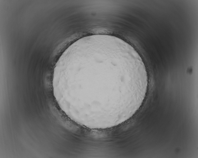 X0000115710353200912241548