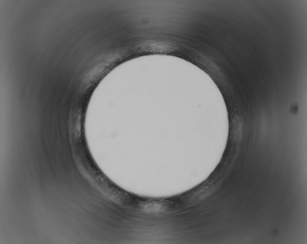 X0000115710358200912241548