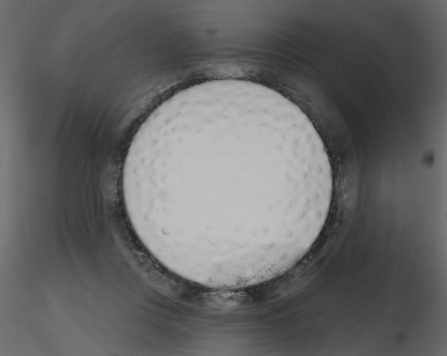 X0000115710359200912241548