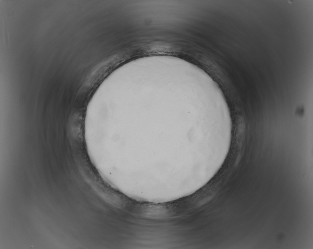 X0000115710361200912241548