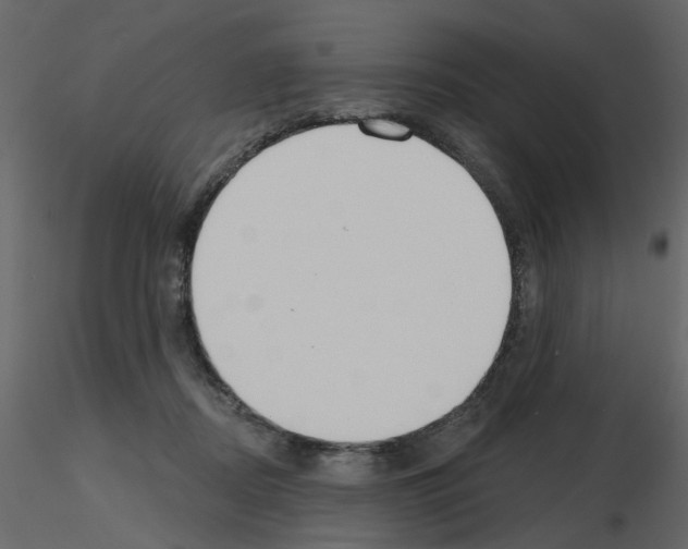 X0000115710362200912241548