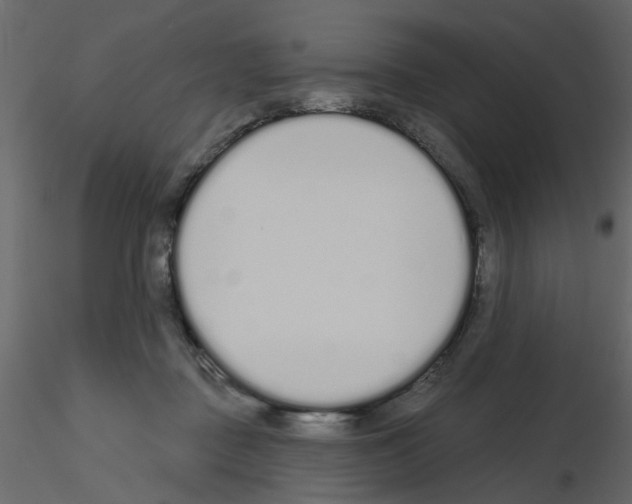 X0000115710363200912241548