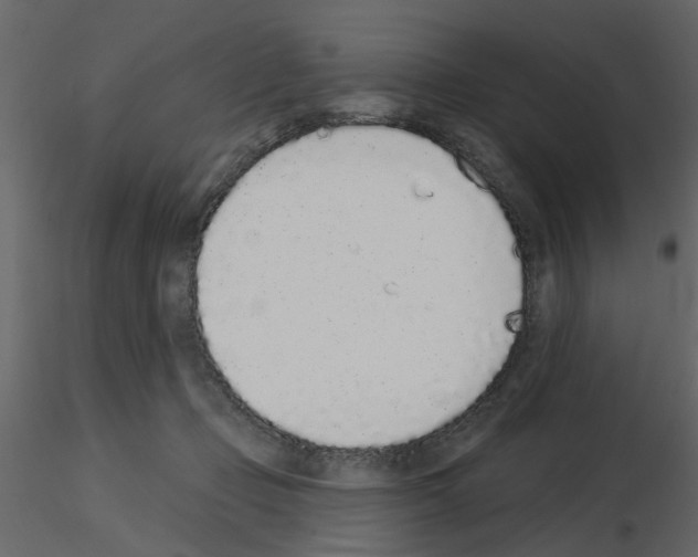 X0000115710365200912241548