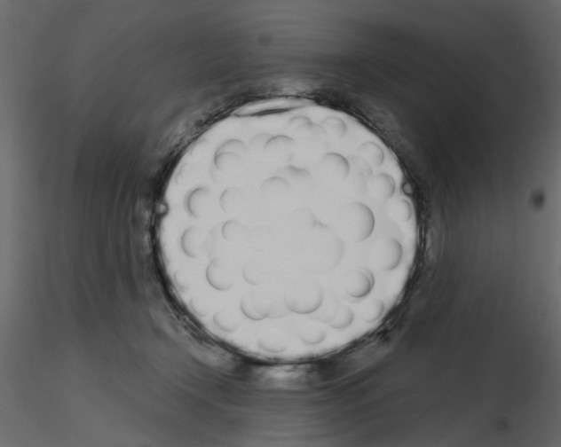 X0000115710366200912241548