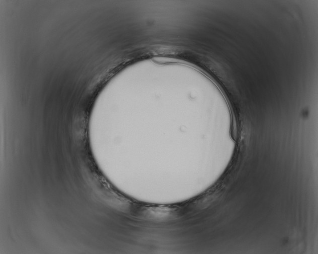 X0000115710367200912241548